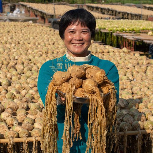 淡口高丽菜食用农产品 中山黄埔晾晒风干爽口腌咸菜薄盐 1500g